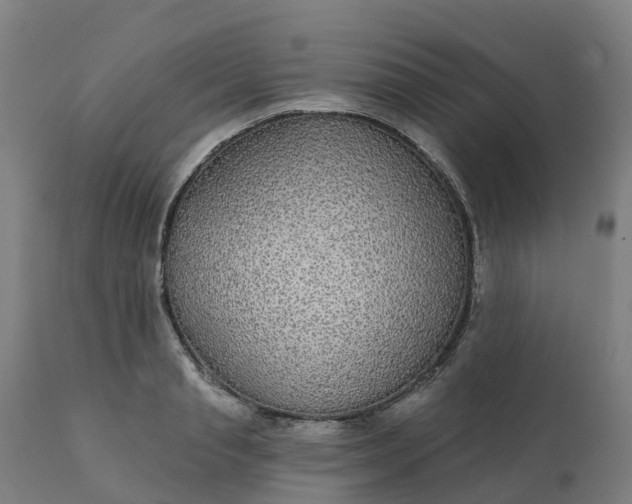 X0000112430845200908281900