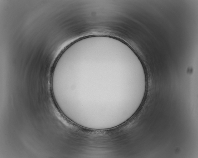 X0000112430846200908281900