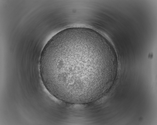 X0000112430847200908281900