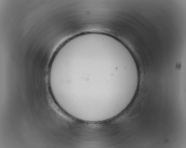 X0000112430848200908281900