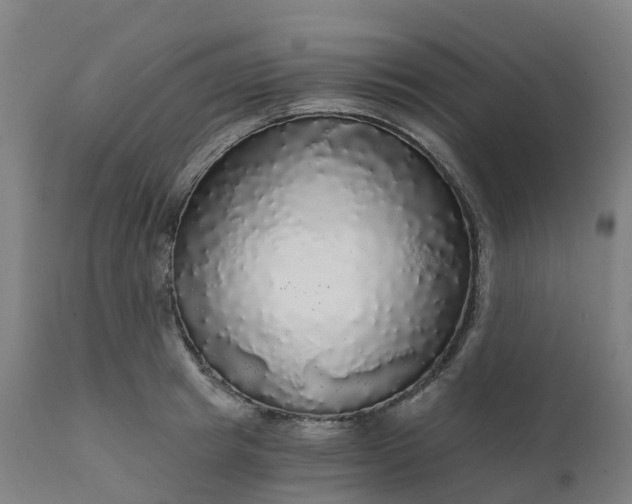 X0000112430849200908281900