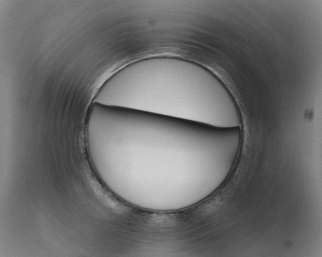 X0000112430850200908281900