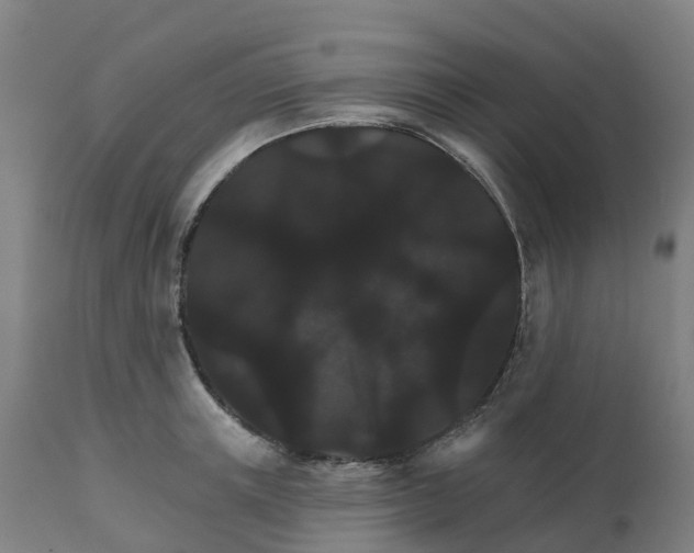 X0000112430851200908281900