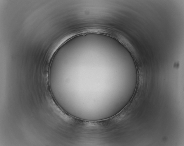 X0000112430852200908281900