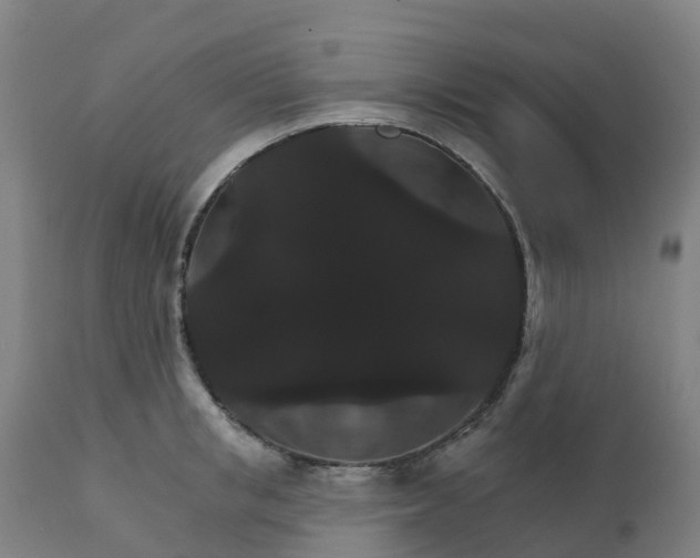 X0000112430853200908281900