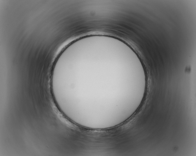 X0000112430854200908281900