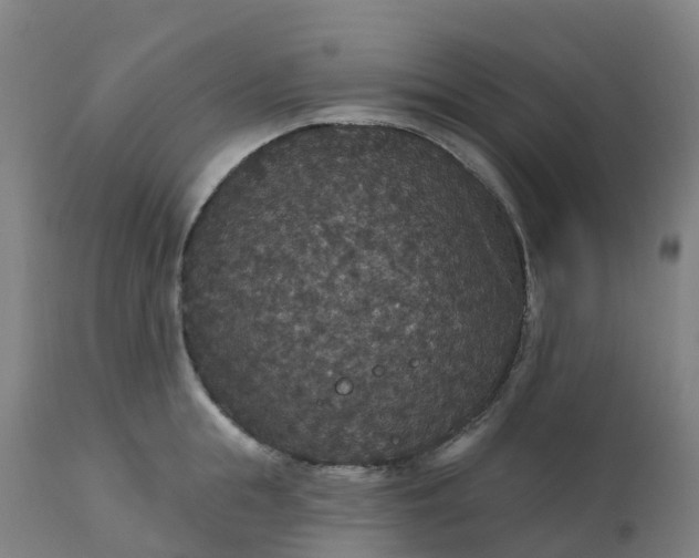 X0000112430855200908281900