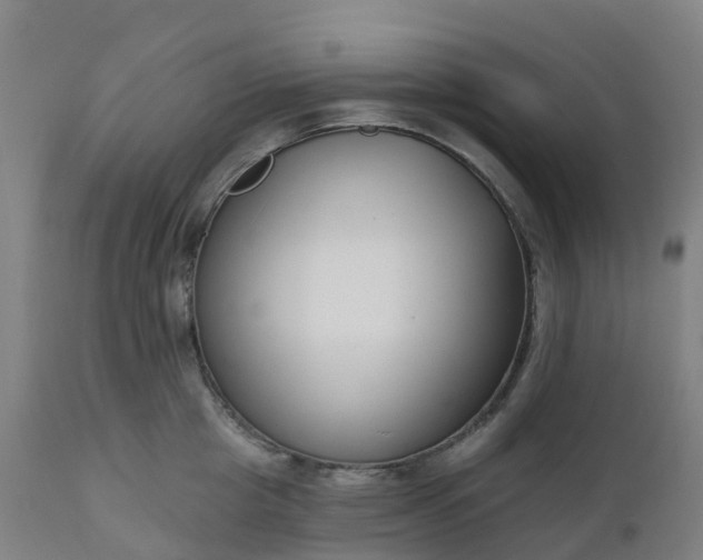 X0000112430857200908281901