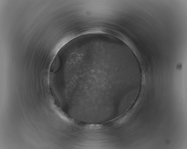 X0000112430858200908281901