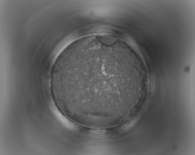 X0000112430859200908281901