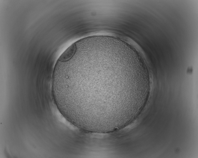 X0000112430860200908281901