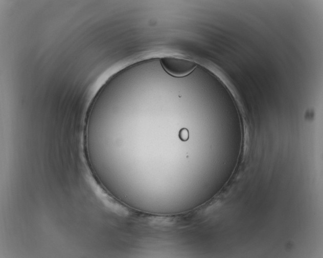 X0000112430861200908281901