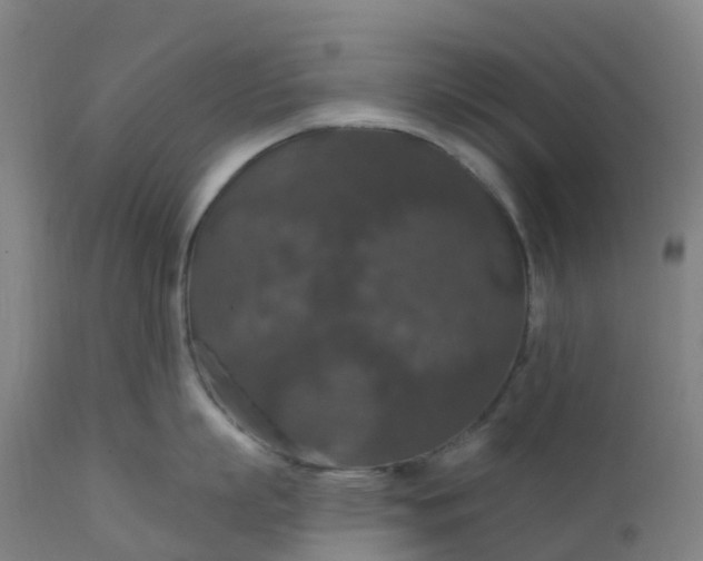 X0000112430863200908281901