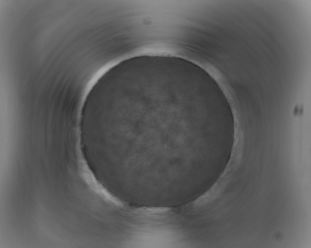 X0000112430864200908281901