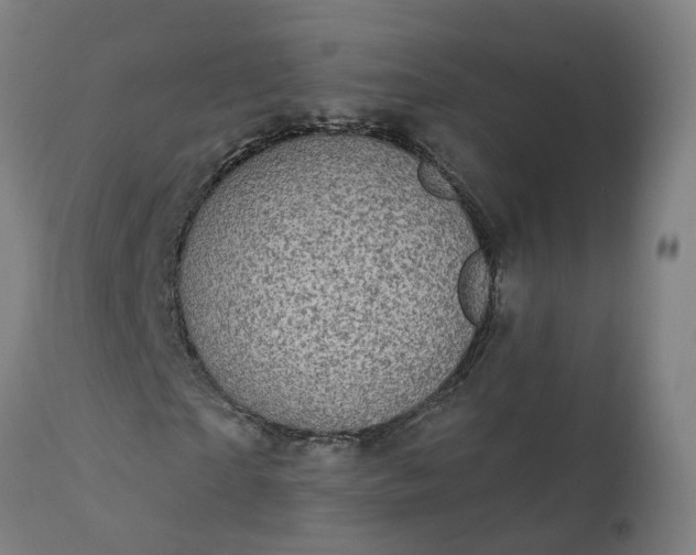 X0000112430865200908281900