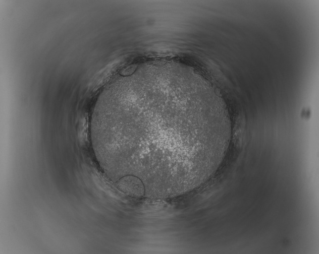 X0000112430866200908281900