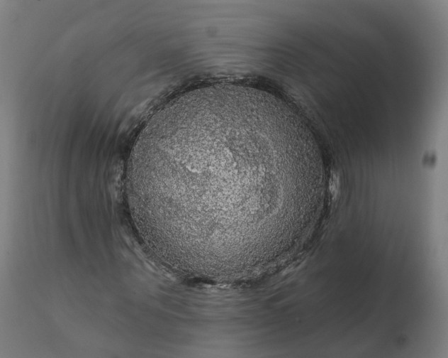 X0000112430867200908281900