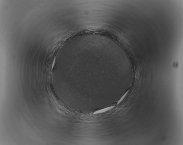 X0000112430868200908281900