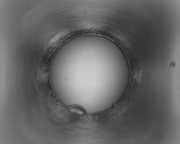 X0000112430869200908281900