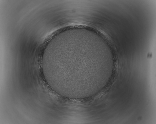 X0000112430870200908281900