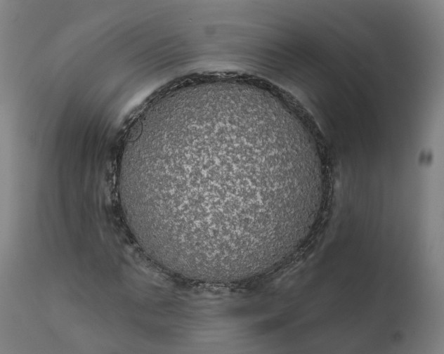 X0000112430871200908281900