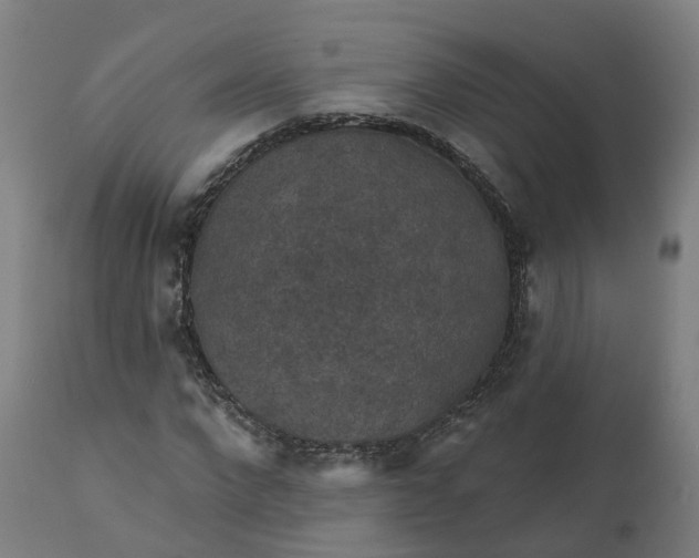 X0000112430872200908281900