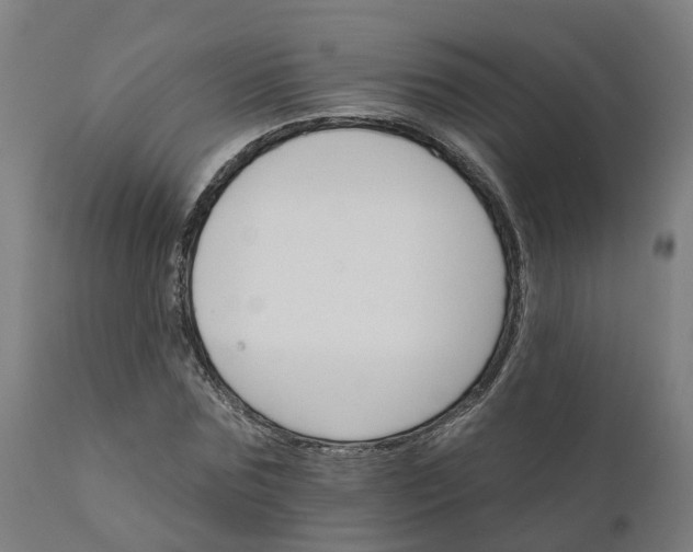 X0000112430875200908281900