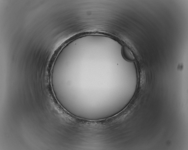 X0000112430876200908281900