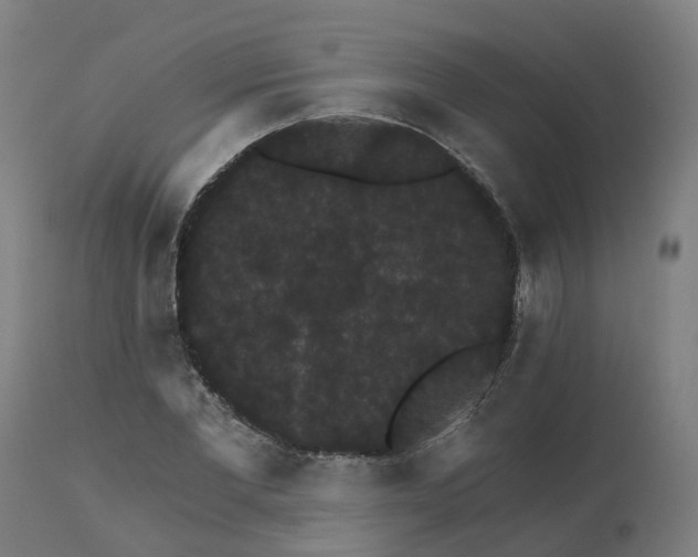 X0000112430877200908281900