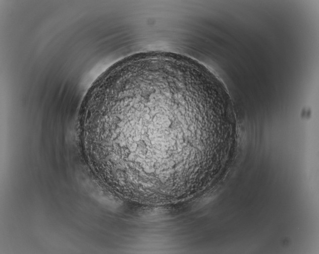 X0000112430879200908281900