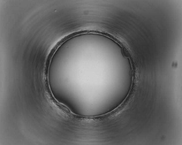 X0000112430880200908281900