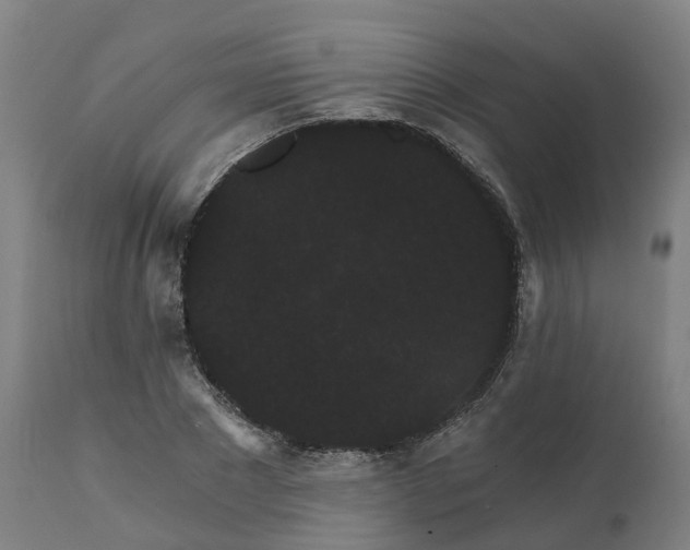 X0000112430881200908281900