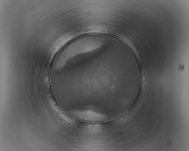 X0000112430882200908281900