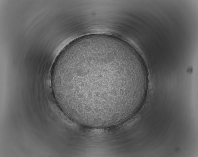 X0000112430883200908281900