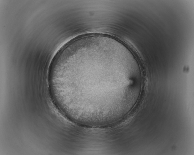 X0000112430884200908281900