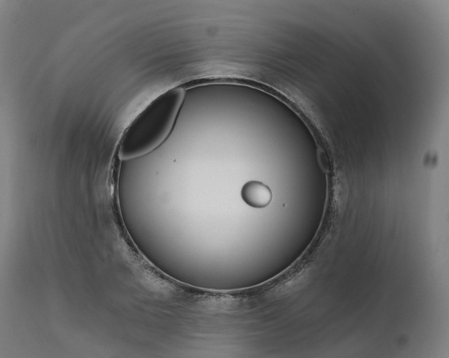 X0000112430885200908281900