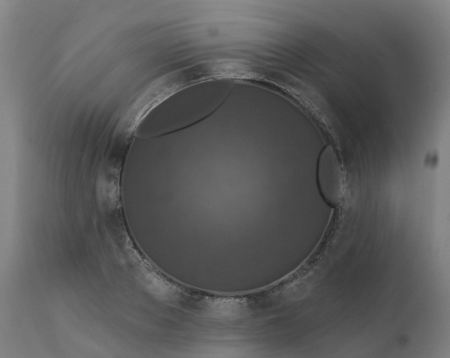 X0000112430889200908281859