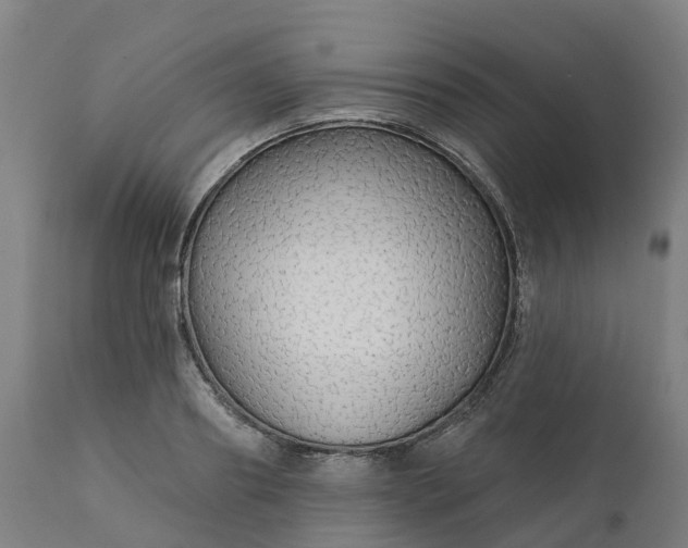 X0000112430890200908281859