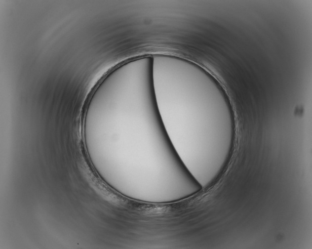 X0000112430891200908281859