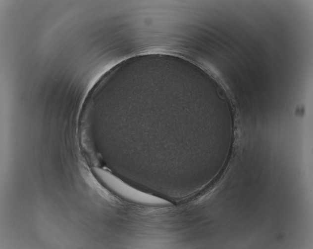 X0000112430892200908281859