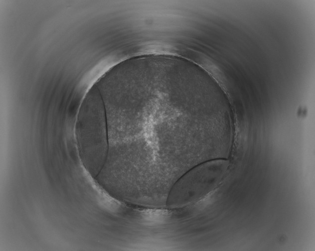 X0000112430893200908281859