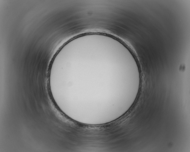 X0000112430895200908281859