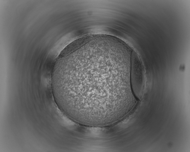 X0000112430897200908281859