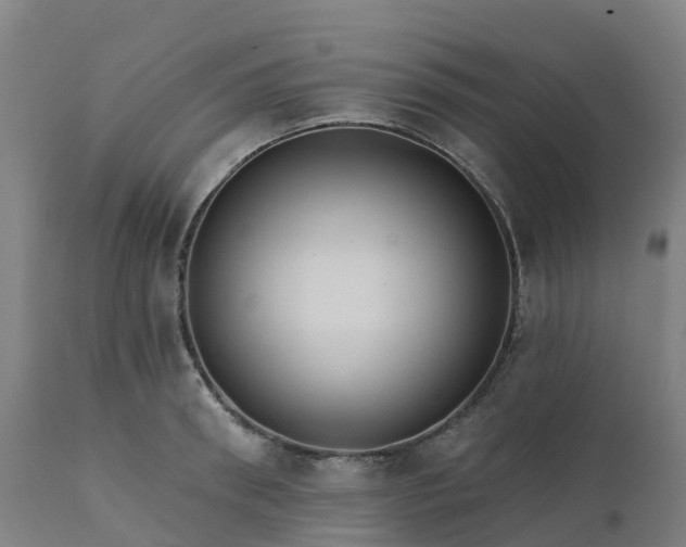 X0000112430898200908281859