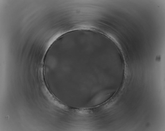 X0000112430899200908281859