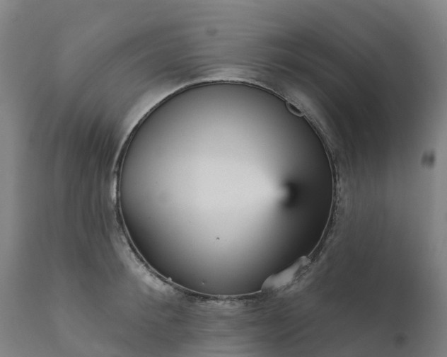 X0000112430900200908281859