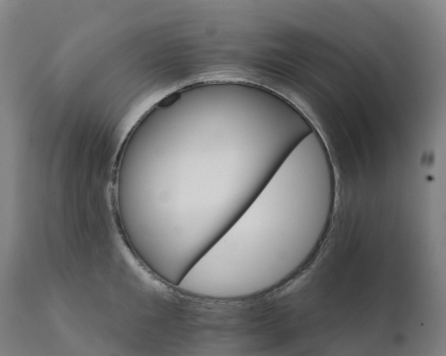 X0000112430901200908281859