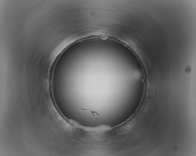 X0000112430902200908281859