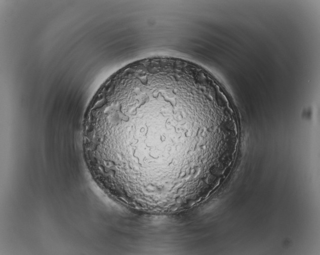 X0000112430903200908281859