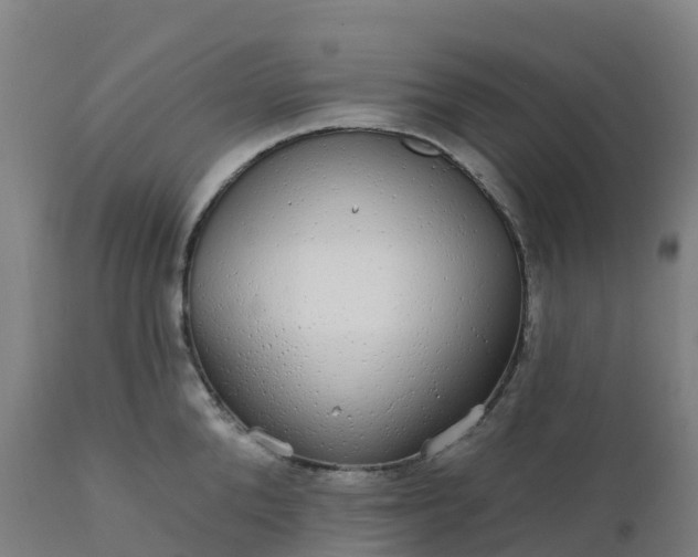 X0000112430904200908281859